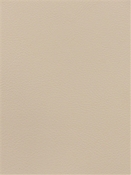 Boone 11103 Faux Leather Barrow Fabric